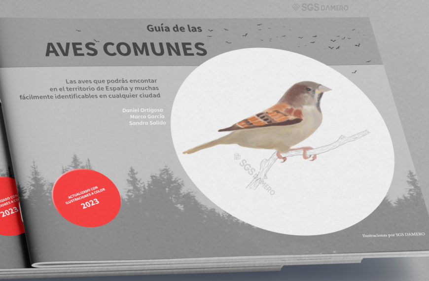 Guía de aves comunes
